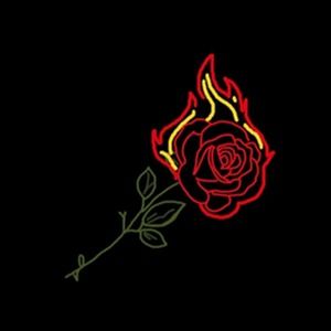 Meet your Posher, Saige